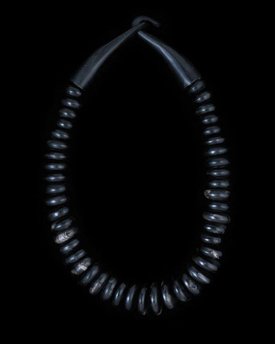 Large Horn Necklace