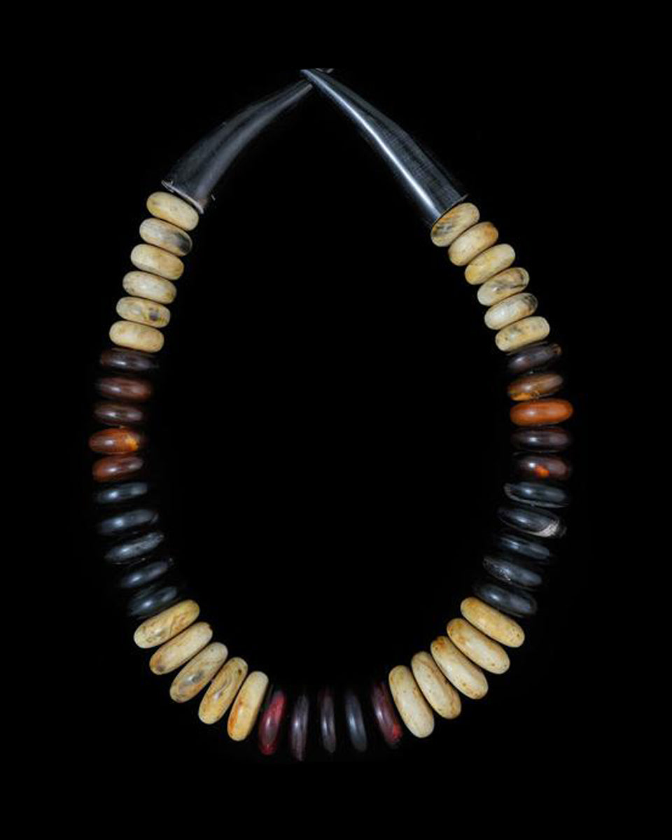 Large Horn Necklace